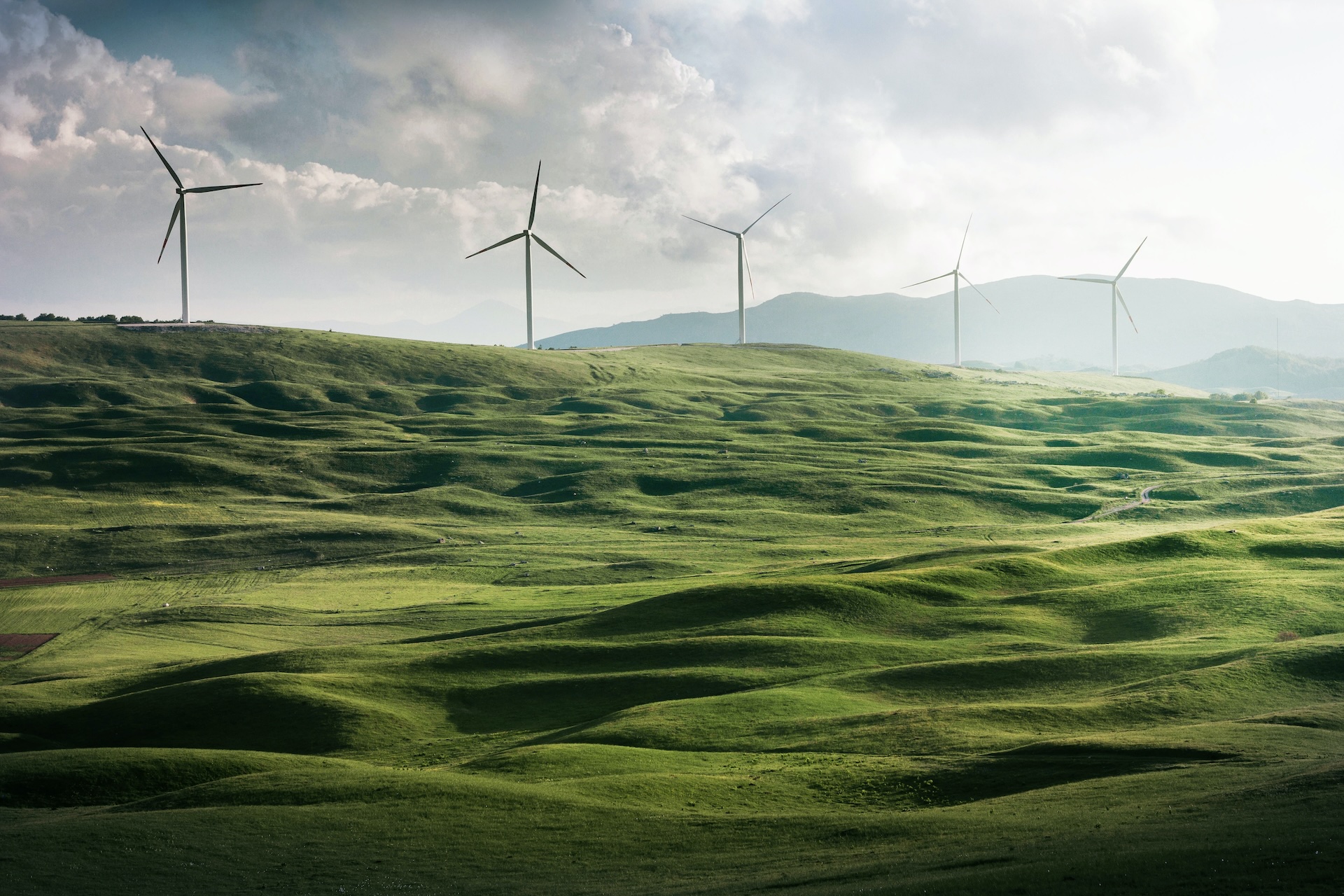 Cooler Certified Emissions Reductions