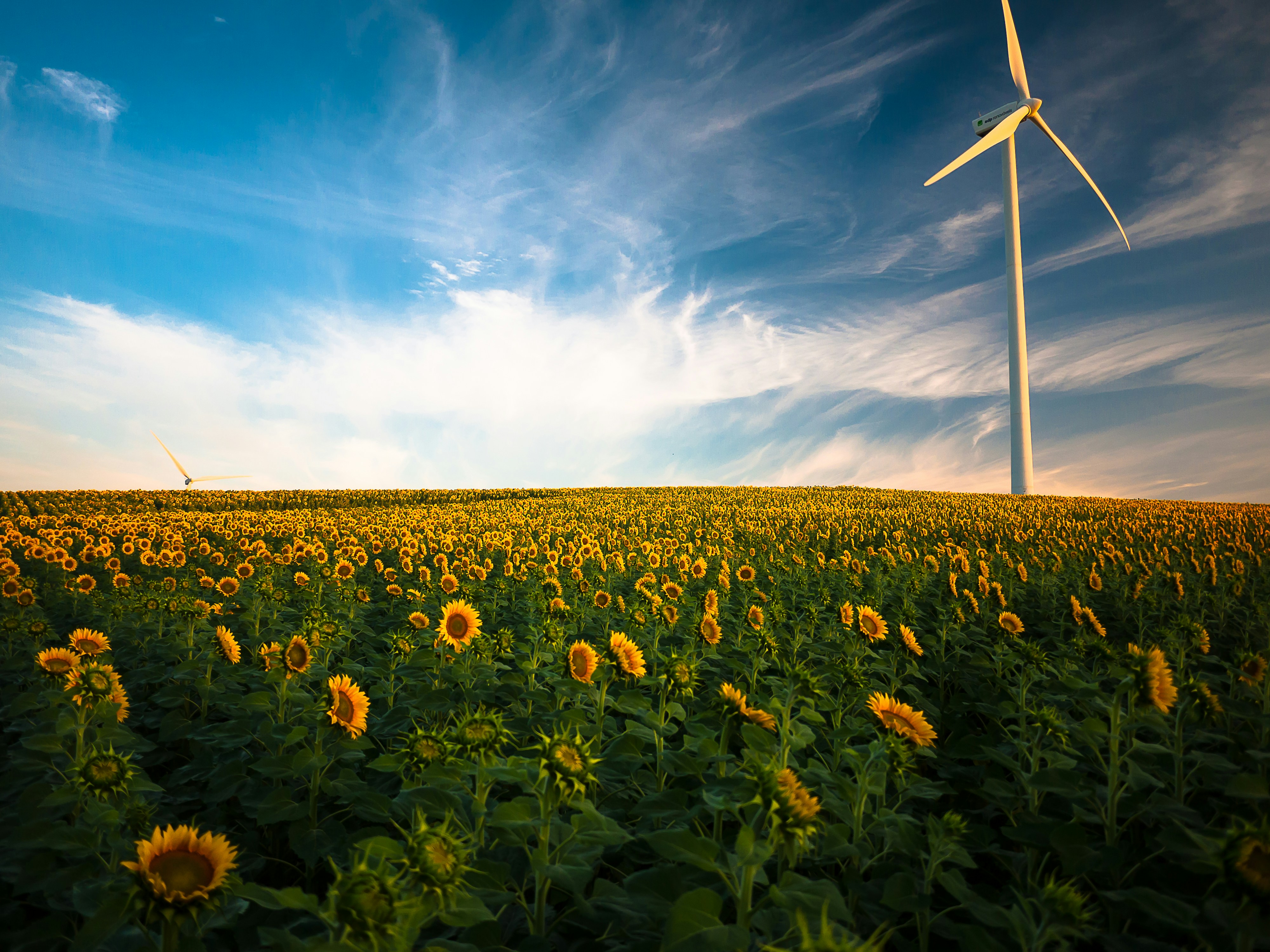 Cooler Certified Emissions Reductions